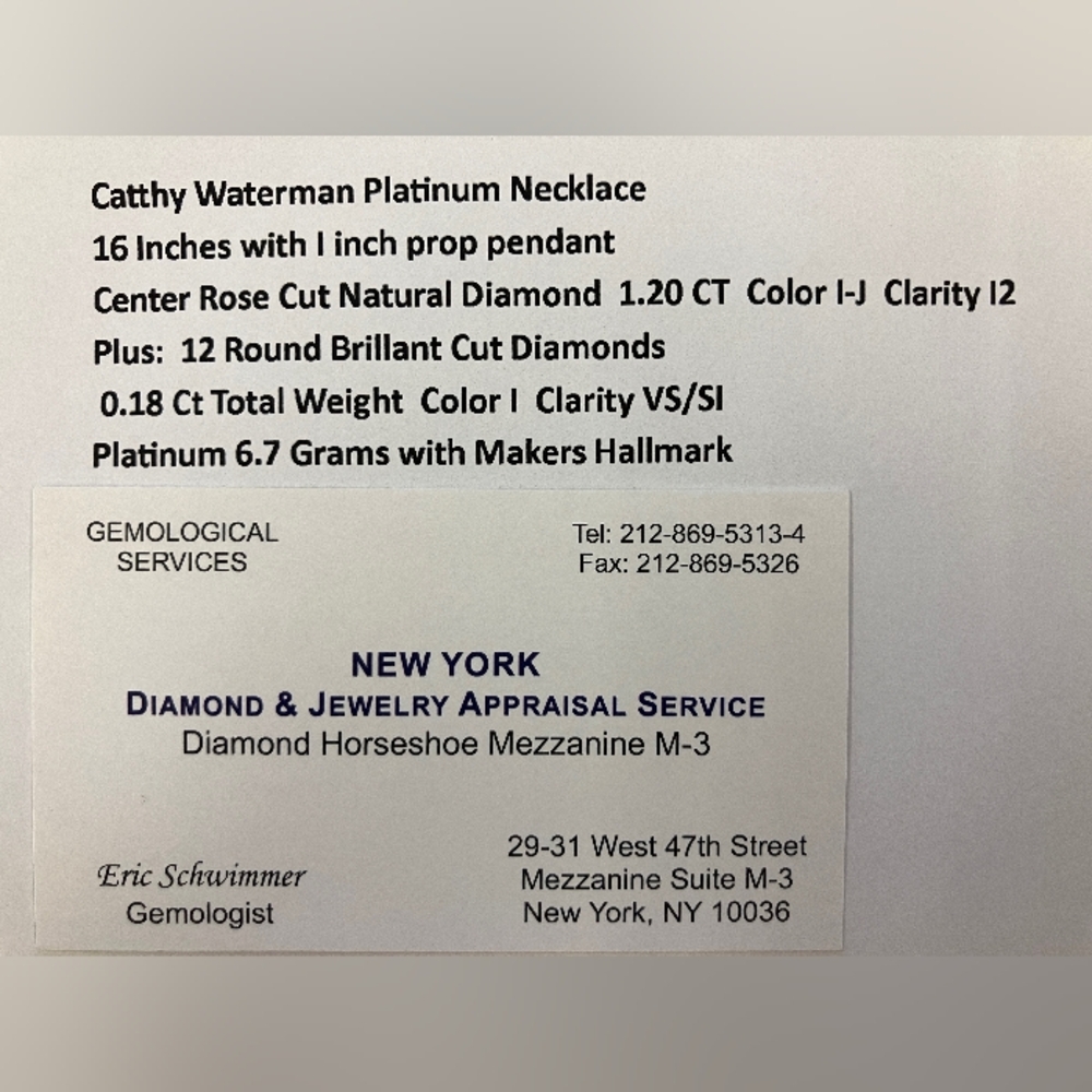Cathy Waterman Platinum and Diamond Necklace - Picture 5 of 5